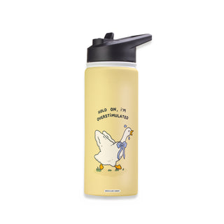 Hold On, I'm Overstimulated Goose Stainless Steel Water Bottle 18oz
