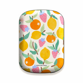Power Bank & Shell