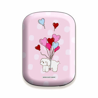 Power Bank & Shell