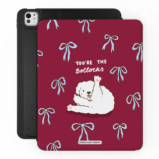 You're The Bollocks - iPad Pro 13 (8th Gen) - Main.jpg