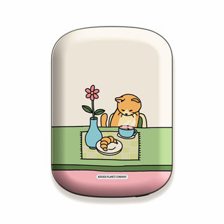 Power Bank & Shell