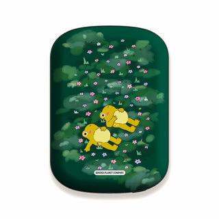 Power Bank & Shell