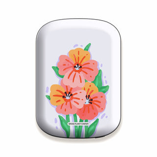 Power Bank & Shell