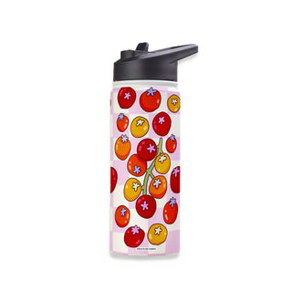 Fruit Basket Stainless Steel Water Bottle 18oz