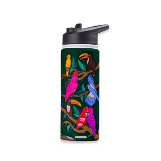 Take Flight Stainless Steel Water Bottle 18oz