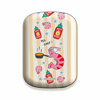 Power Bank & Shell