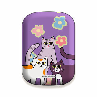 Power Bank & Shell