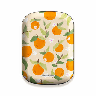 Power Bank & Shell