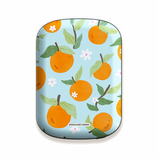 Power Bank & Shell